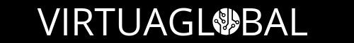 VIRTUAGLOBAL LLC